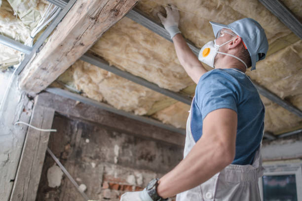 Best Cellulose Insulation in Elkins Rk, PA