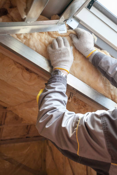 Best Geographic-Specific Insulation Services in Elkins Rk, PA